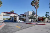 The Infusion Beach Club Hotel a Palm Springs