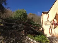 Le Mont d'Olivine