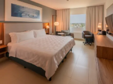 阿卡普爾科拉島假日酒店 阿卡普爾科酒店