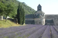 Le Mazet du Domaine