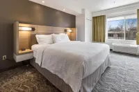 SpringHill Suites Sacramento Natomas - スパ