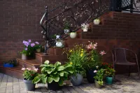 Polina Hotel Hotels in Saratov