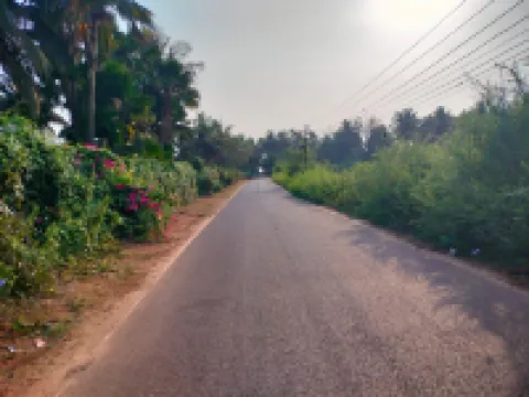 Four Seasons Guest House