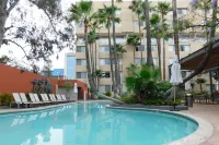 Hotel Palacio Azteca - مسبح
