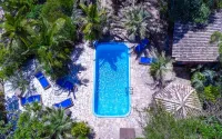 Pousada Morro Das Palmeiras - Pool
