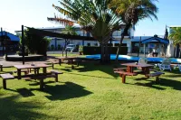 David Motor Inn - بار