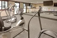 Holiday Inn Express Mentor Banquet Center by IHG - Gym