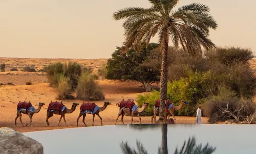 Al Maha, a Luxury Collection Desert Resort & Spa, Dubai