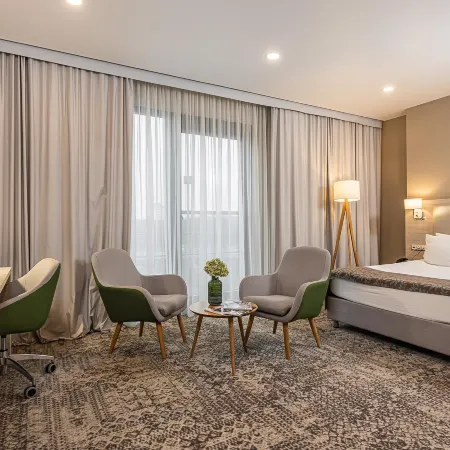 Holiday Inn Kaliningrad (Холидей Инн Калининград)