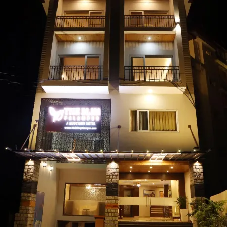 The Bliss Palampur