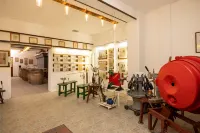 Pensiunea Rhein - homestay