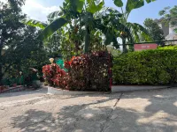 S2 Residency Hotels in Kaswand