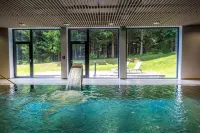 Hotel Ski - piscine