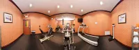 Holiday Inn Express & Suites VAN BUREN-FT SMITH AREA by IHG - Gym