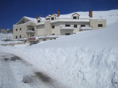 Cedars Palace Hotels in 