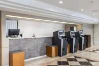 Ace Inn Matsumoto