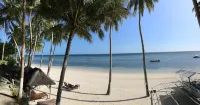Anda White Beach Resort - Ocean View