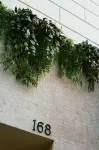 Hotel Habituel