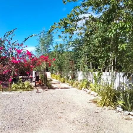 VF Riton Apartelle Anex