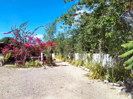 VF Riton Apartelle Anex