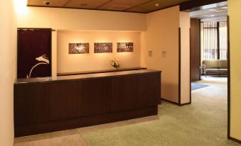 Ochanomizu Hotel Shoryukan