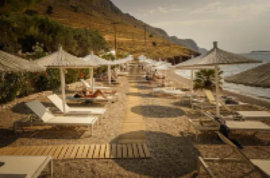 Bellevalia Hydra - Formerly Four Seasons Hydra