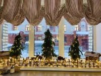 Hotel Severnica Hotels in Arkhangelsk