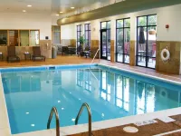 Hampton Inn Hendersonville - Pools