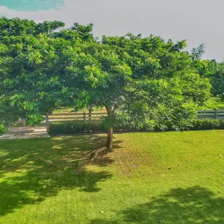 Kampu Nature Pool Villa Rayong