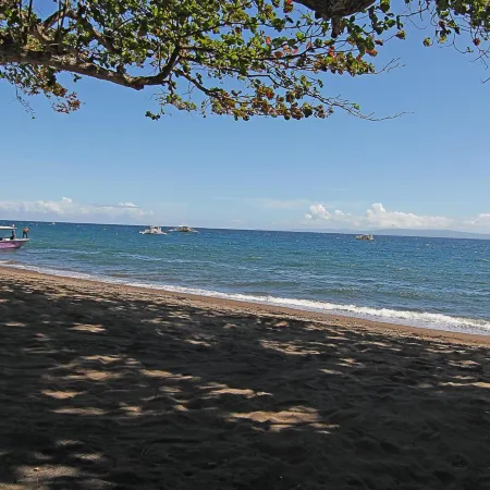 Vida Homes Condo Resort Dauin