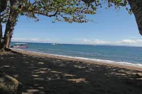 Vida Homes Condo Resort Dauin - Beach