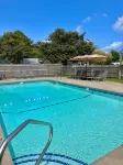Kingfisher Oceanside - Pool