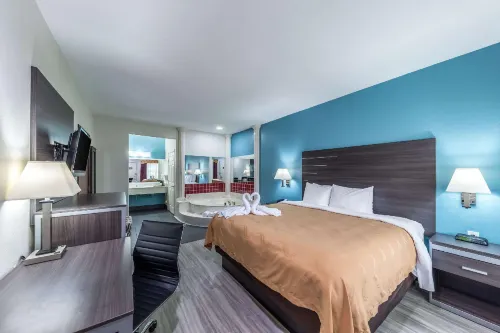 Quality Inn & Suites Canton - Pet friendly