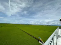 Padi Sentral @ Sekinchan Hotels in Sekinchan