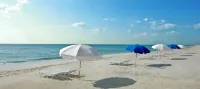 Island House South Beach