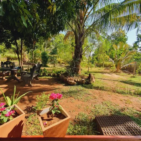 Jungle Eco Lodge & Safari