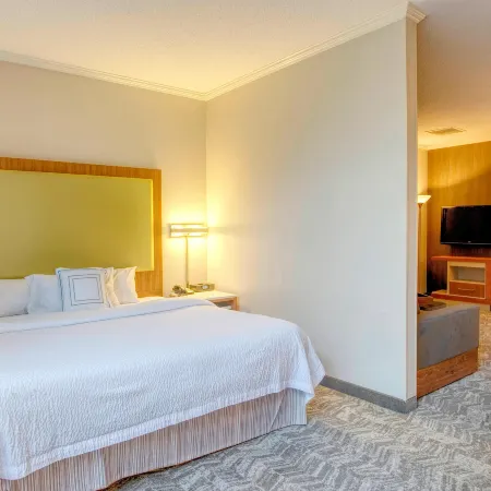 SpringHill Suites Lawrence Downtown