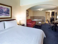 Holiday Inn Express & Suites EDSON by IHG Hotels in Edson