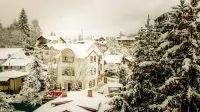 Pensiunea Nicolas Hotels in Сіная