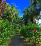 奄美美滿 The Place You Can See Two Different Oceans附近的飯店