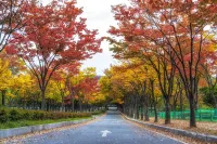 Incheon (Dongam) Soo - 2-Star