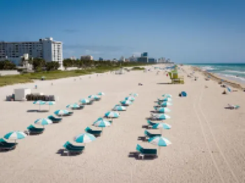 คาสา โซบี้ โรงแรมในไมอามีบีช