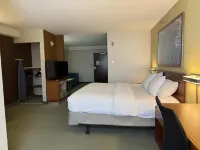 The Peoria Hotel, SureStay Collection by Best Western - WiFi