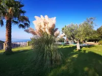 Il Mandorlo
