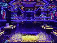 Camellia Luxury Hotel Tam Dao - bar