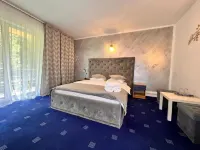 Top Mountain Hotels in Cristian