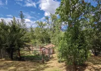 Jackass Hostel Hotels in Auberry