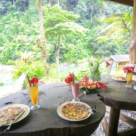 Back to Nature Ecotourism