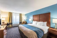 Comfort Inn & Suites Lees Summit - Kansas City Hotels in Lee's Summit
