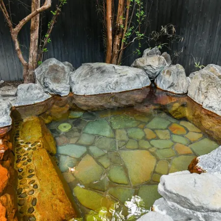 Ryokan Yayanoyu